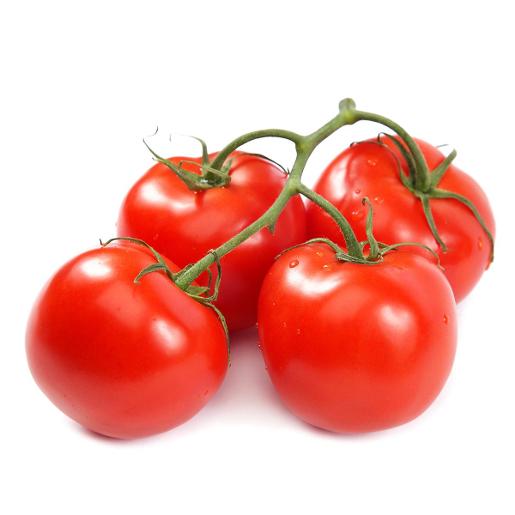 Tomato Jordan