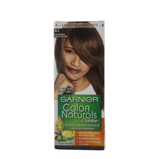 Garnier Hair Color Naturals Dark Ash Blonde