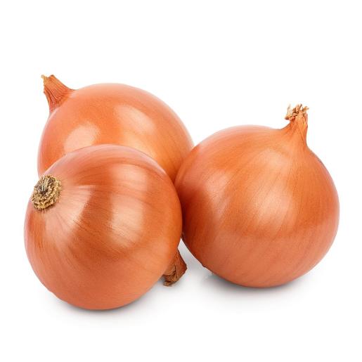 Onion Brown Holland