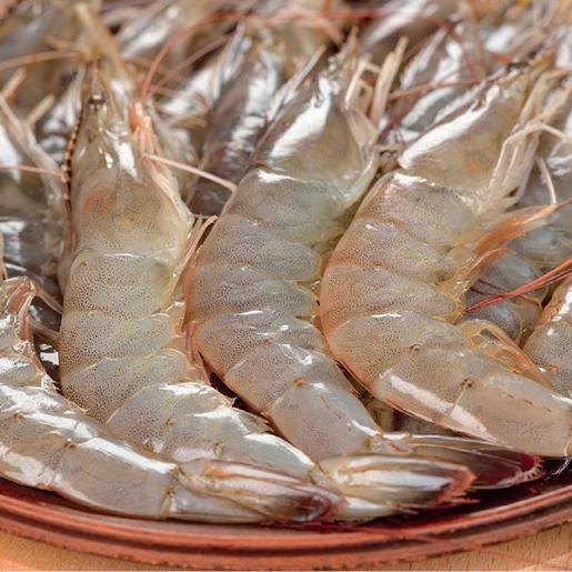 Shrimps India 40/50