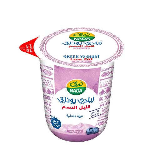 Nada Greek Yoghurt Low Fat Blueberry 360ml