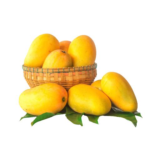 Mango Badami India