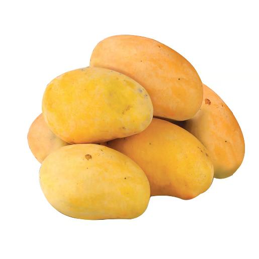 Mango Sindri India