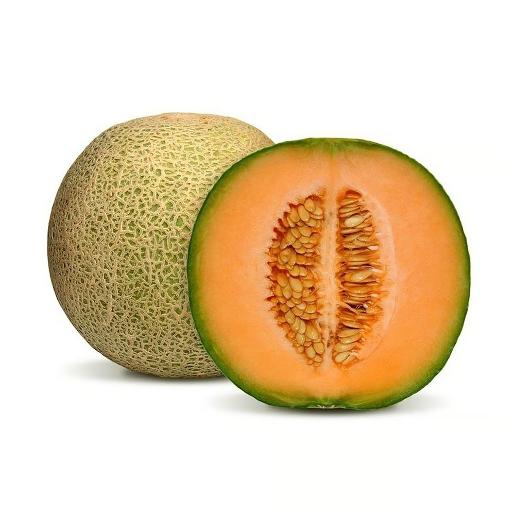 Rock Melon Morocco