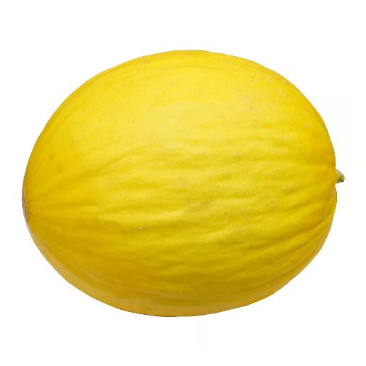 Honeydew Melon Yellow Honduras