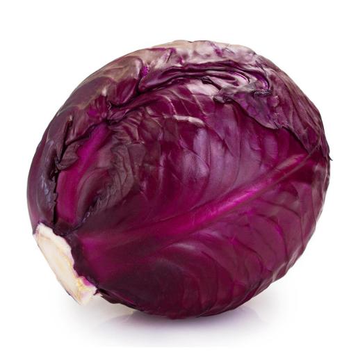 Cabbage Red UAE
