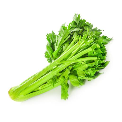 Celery Stick China