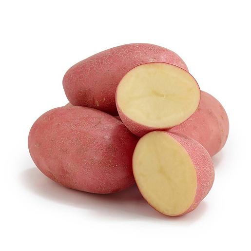 Potato Red Australia