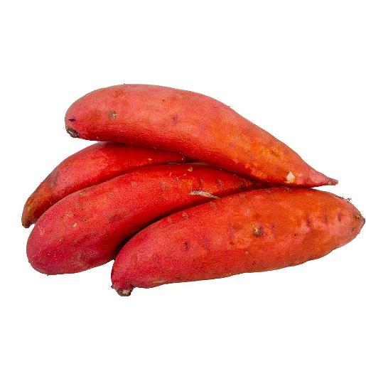Sweet Potato Australia