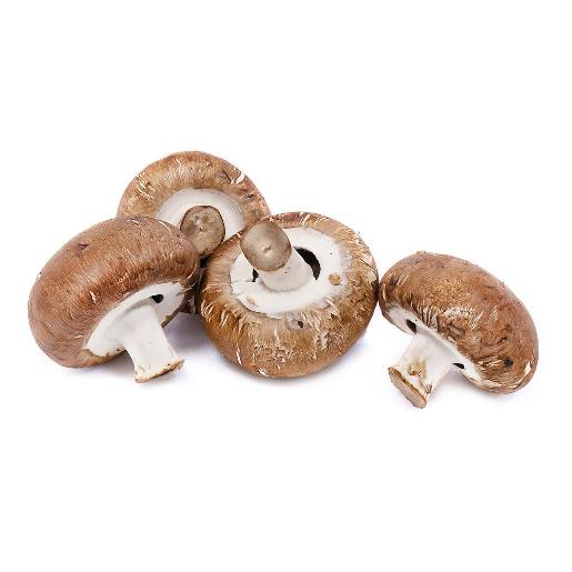 Mushroom Brown Holland