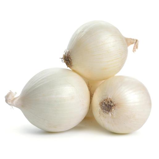 Onion  White Spain
