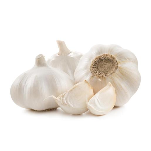 Garlic China