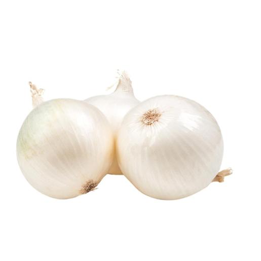 Onion White Iran