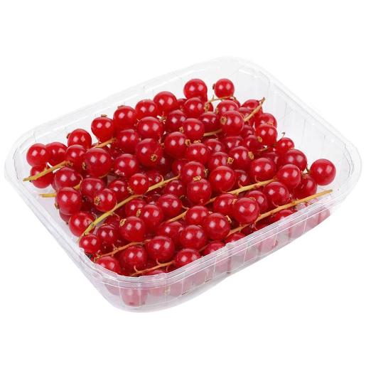 Red Currant Holland