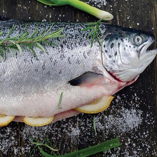 Norwegian Salmon 2/3