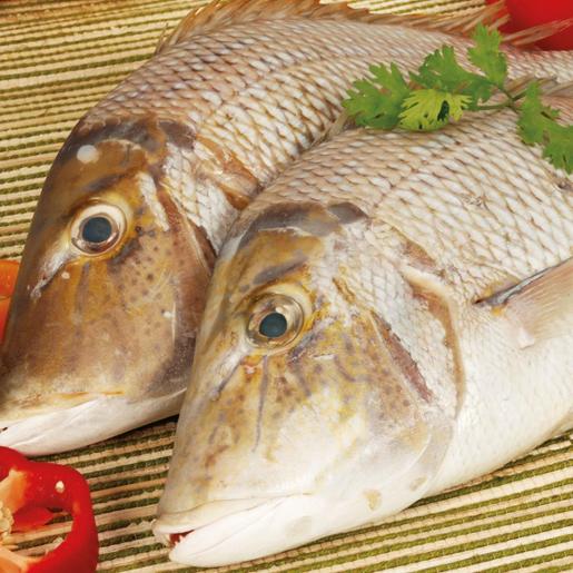 Fresh Sheri Fish Use