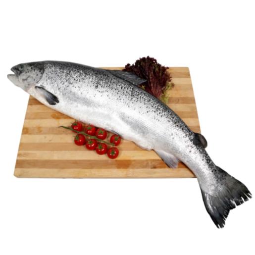 Fresh Norwegian Salmon Whole Cleaned