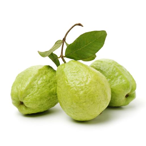 Guava Egypt