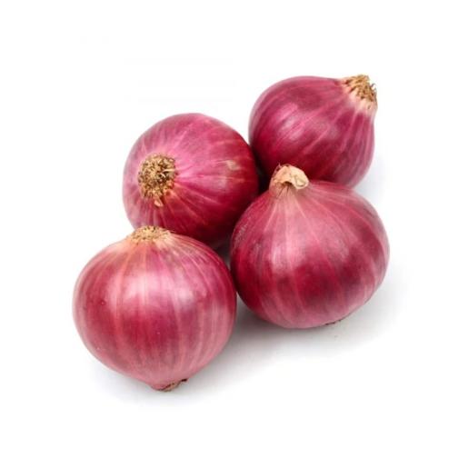 Onion Egypt