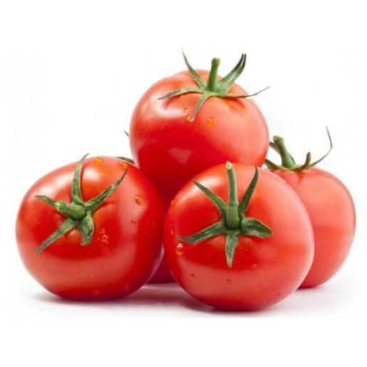 Tomato India