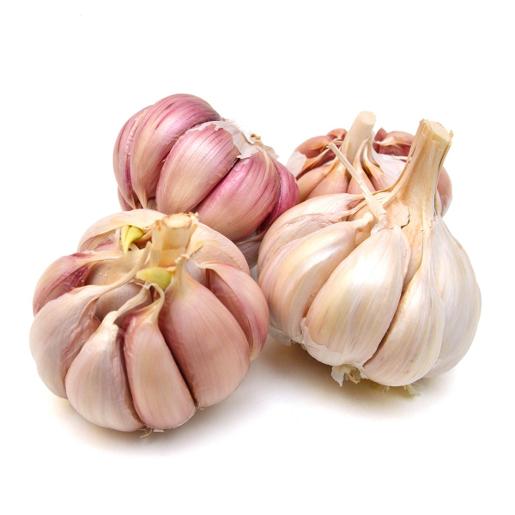 Garlic India