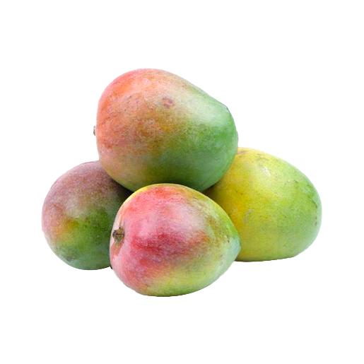 Mango Round Kenya