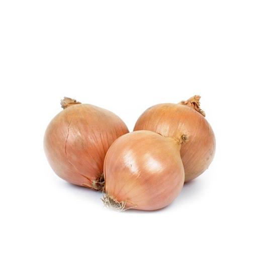 Onion Spain