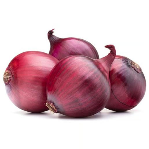Onion Holland
