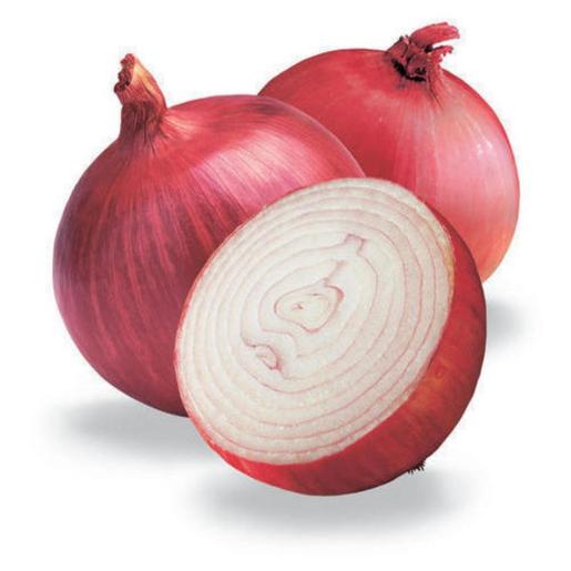 Onion Sudan