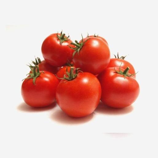 Tomato Red Bunch Iran