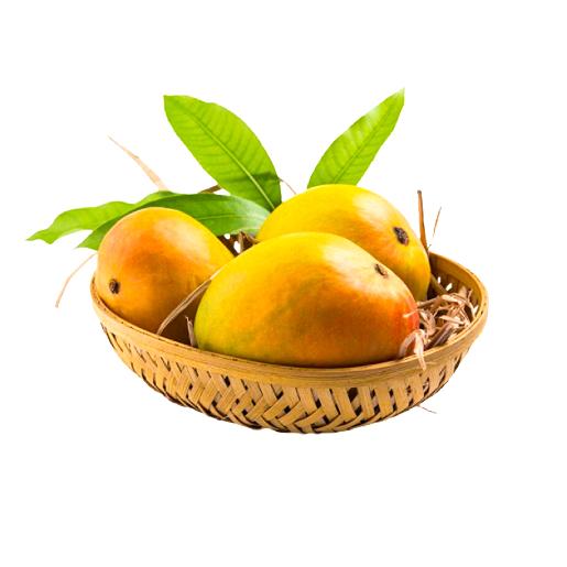 Mango Alphonso India