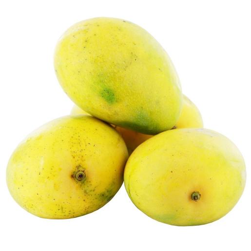 Mango Banganapalli India