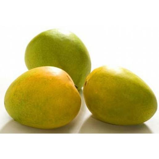 Mango Malgova India