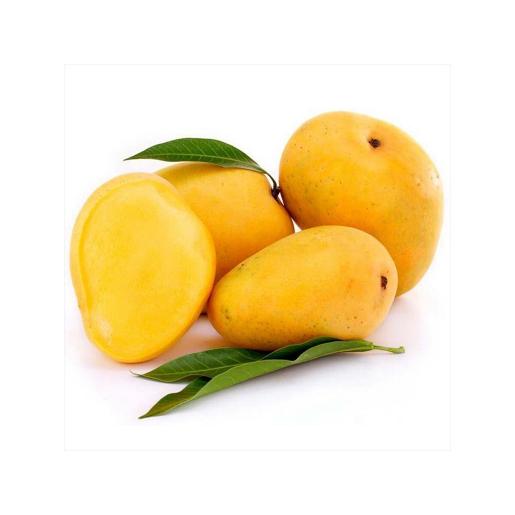Mango Jawaharpasand India