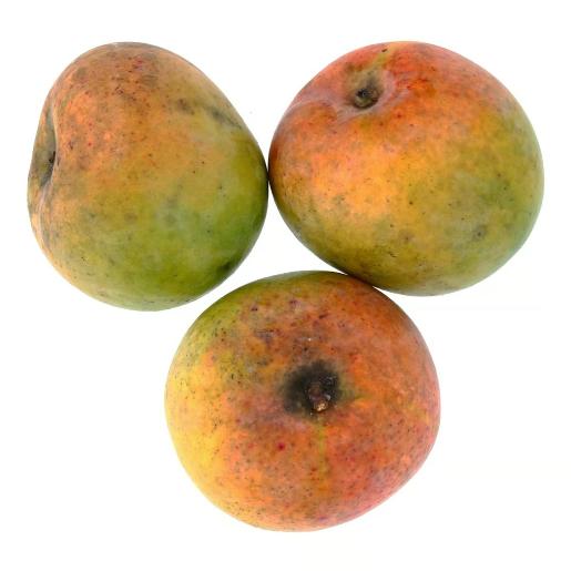 Mango Rumani India
