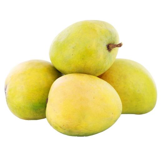 Mango Rathna India