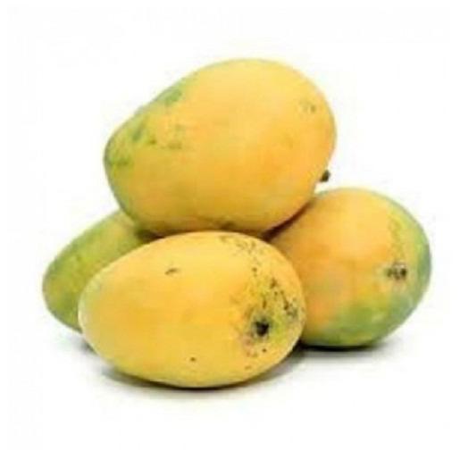 Mango Panchavarnam