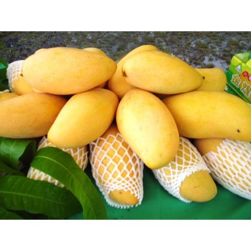 Mango Thaivan
