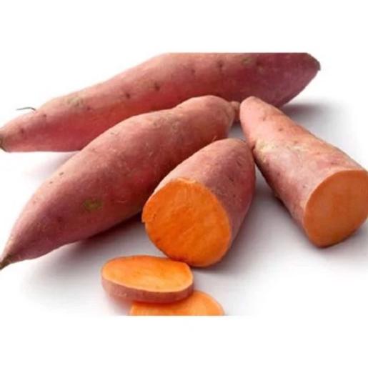 Sweet Potato UAE