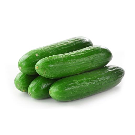 Cucumber Iran