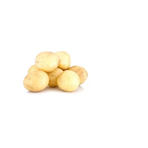 Baby Potato Holland