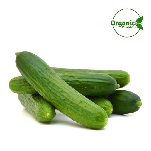 Organic Cucumber Per Kg