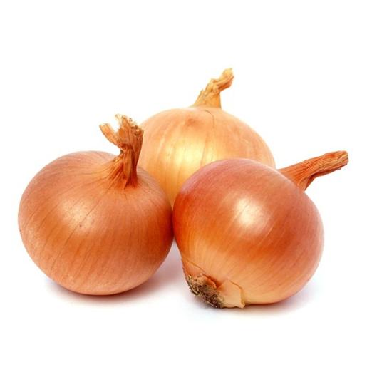 Onion Brown Spain