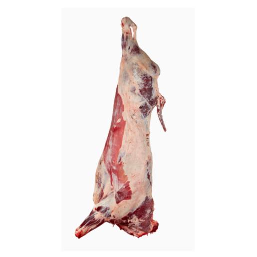 Holland Veal Carcass 120kgs to 140kgs