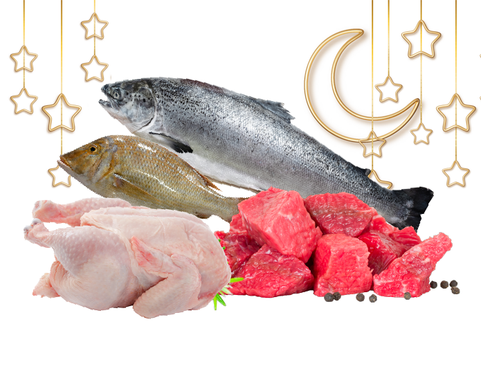500x400 fish and meat-01.png