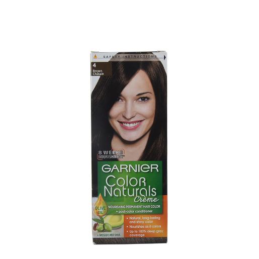 Garnier Hair Color Naturals #4 Brown