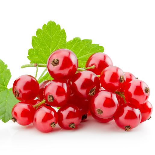 Red Currant USA Per Pack